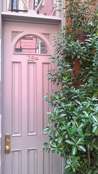 a plant in front of a door