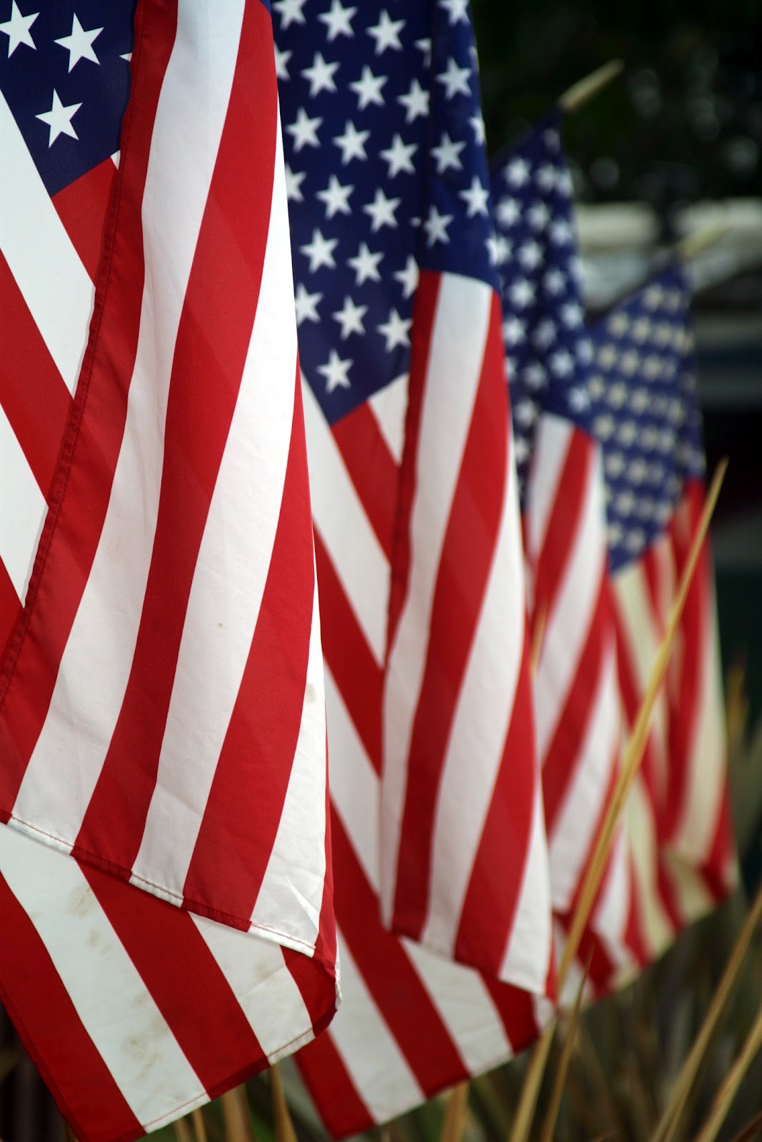 a close up of a flag