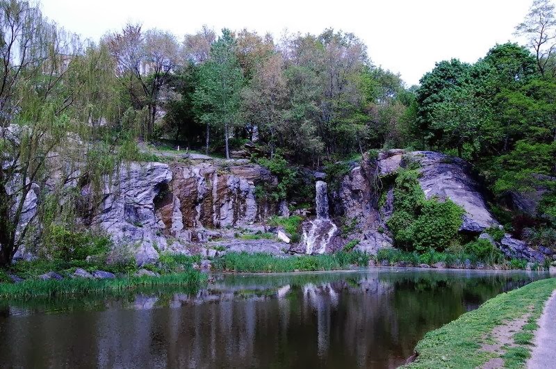 a body of water surrounded by trees