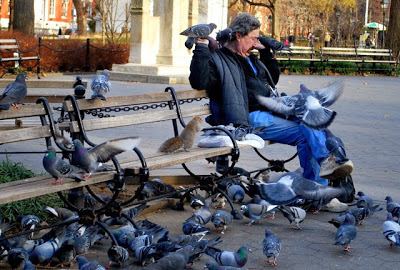 a person sitting on a bench