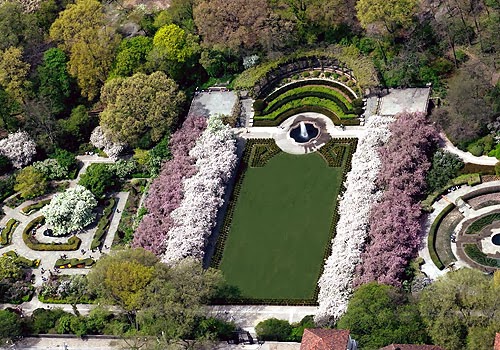 a close up of a garden
