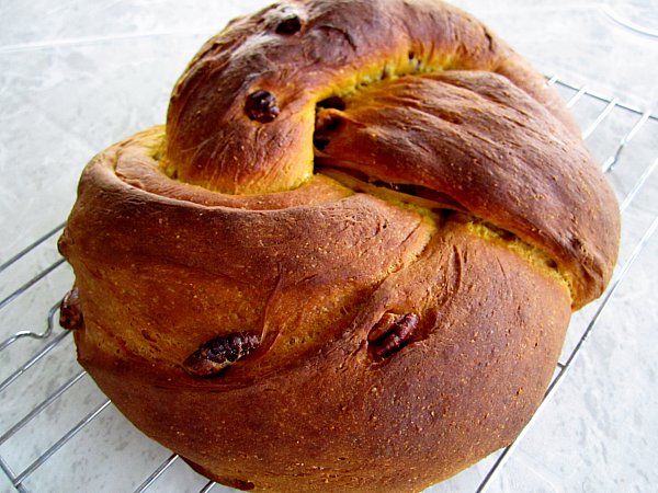 a close up of a piece of bread