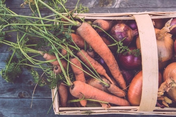a close up of a fruit stand