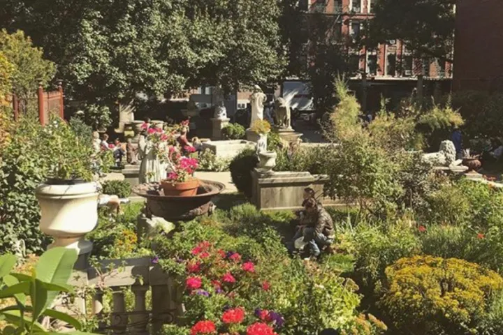 a close up of a flower garden