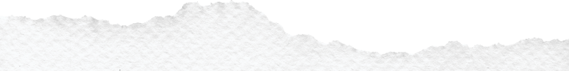 a close up of a snow covered slope