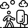 shape